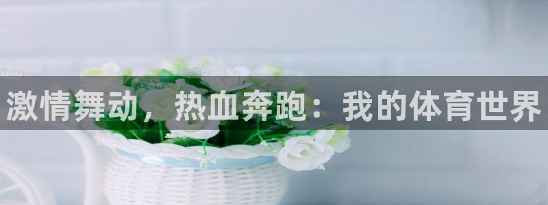 oety欧亿