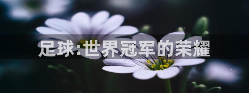 oety欧亿