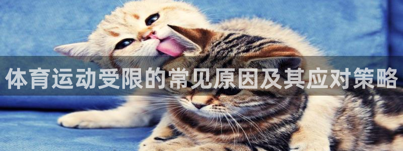 oety欧亿