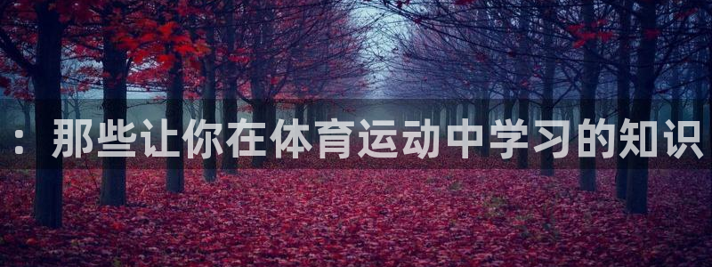 oety欧亿