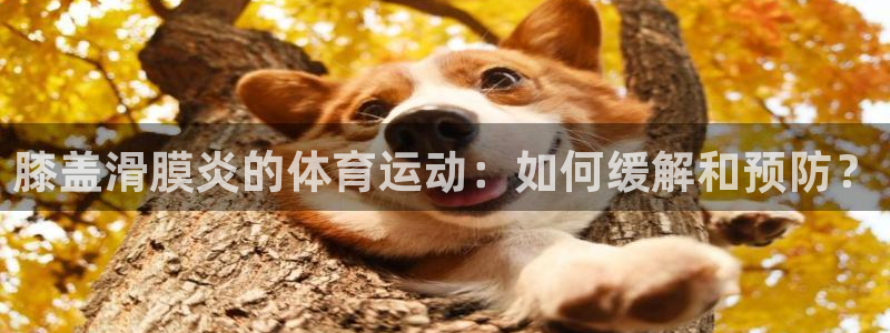oety欧亿